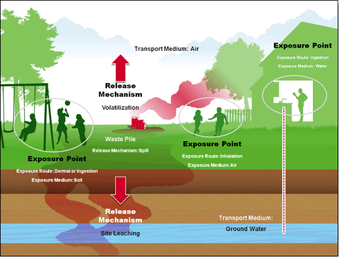 EPA_exposures_diagram