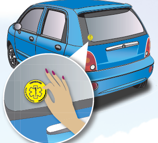 Vehicle Sticker